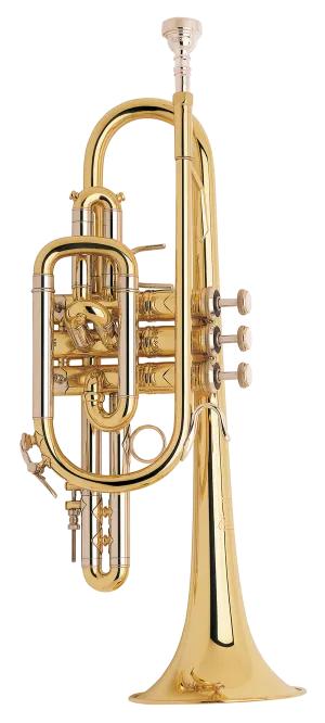Bach 181ML Professional Cornet Outfit