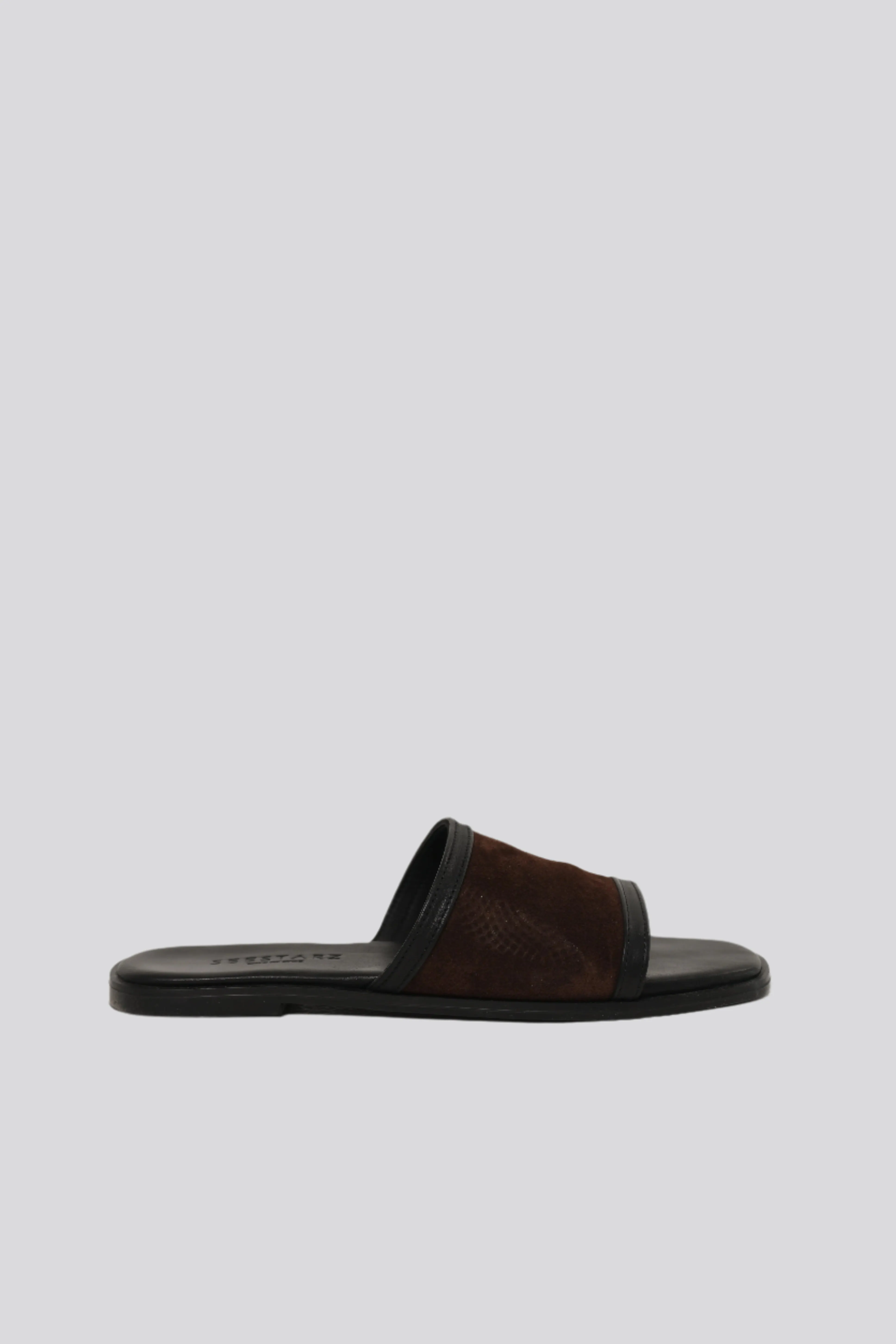 DNA No.24 Brown Slides
