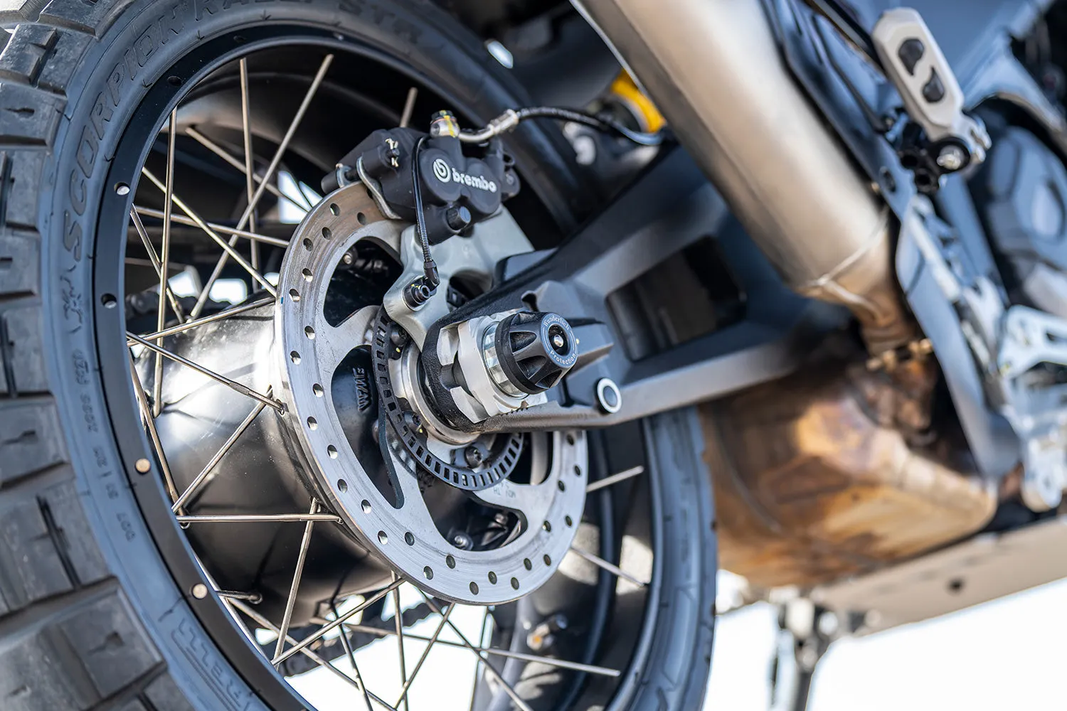 Ducati Desert X Protection - Slider