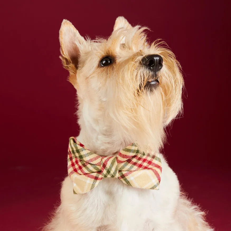 Eggnog Plaid Flannel Dog Bow Tie Attachment