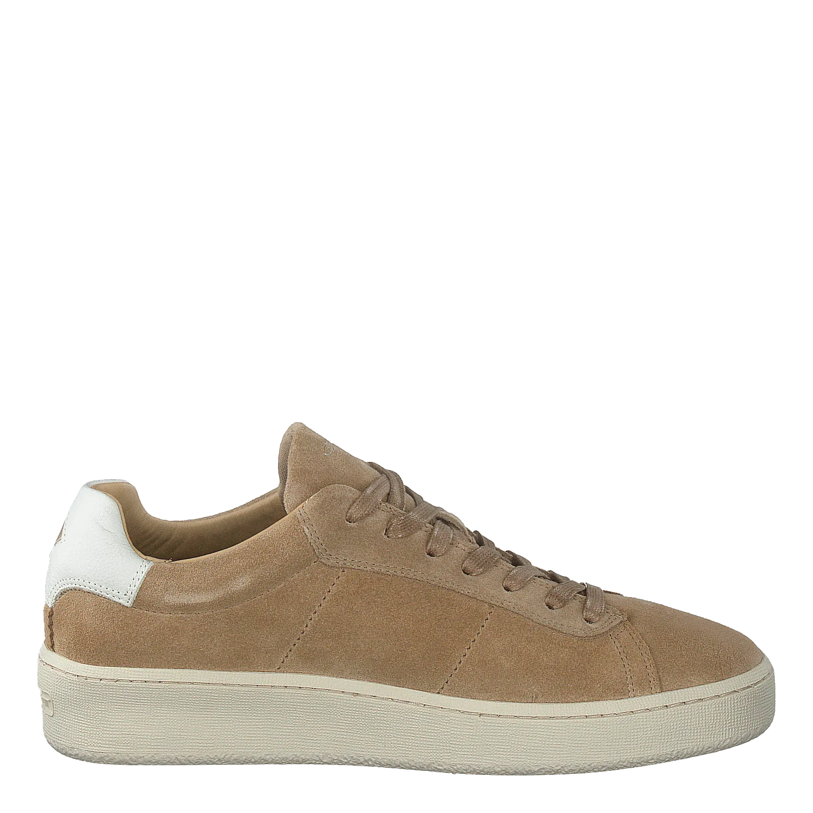 Leville G22 - Dry Sand