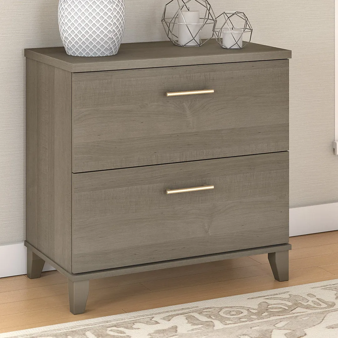 Magomed 2-Drawer Lateral Filing Cabinet Gracie Oaks Color: Ash Gray