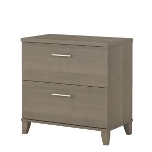 Magomed 2-Drawer Lateral Filing Cabinet Gracie Oaks Color: Ash Gray