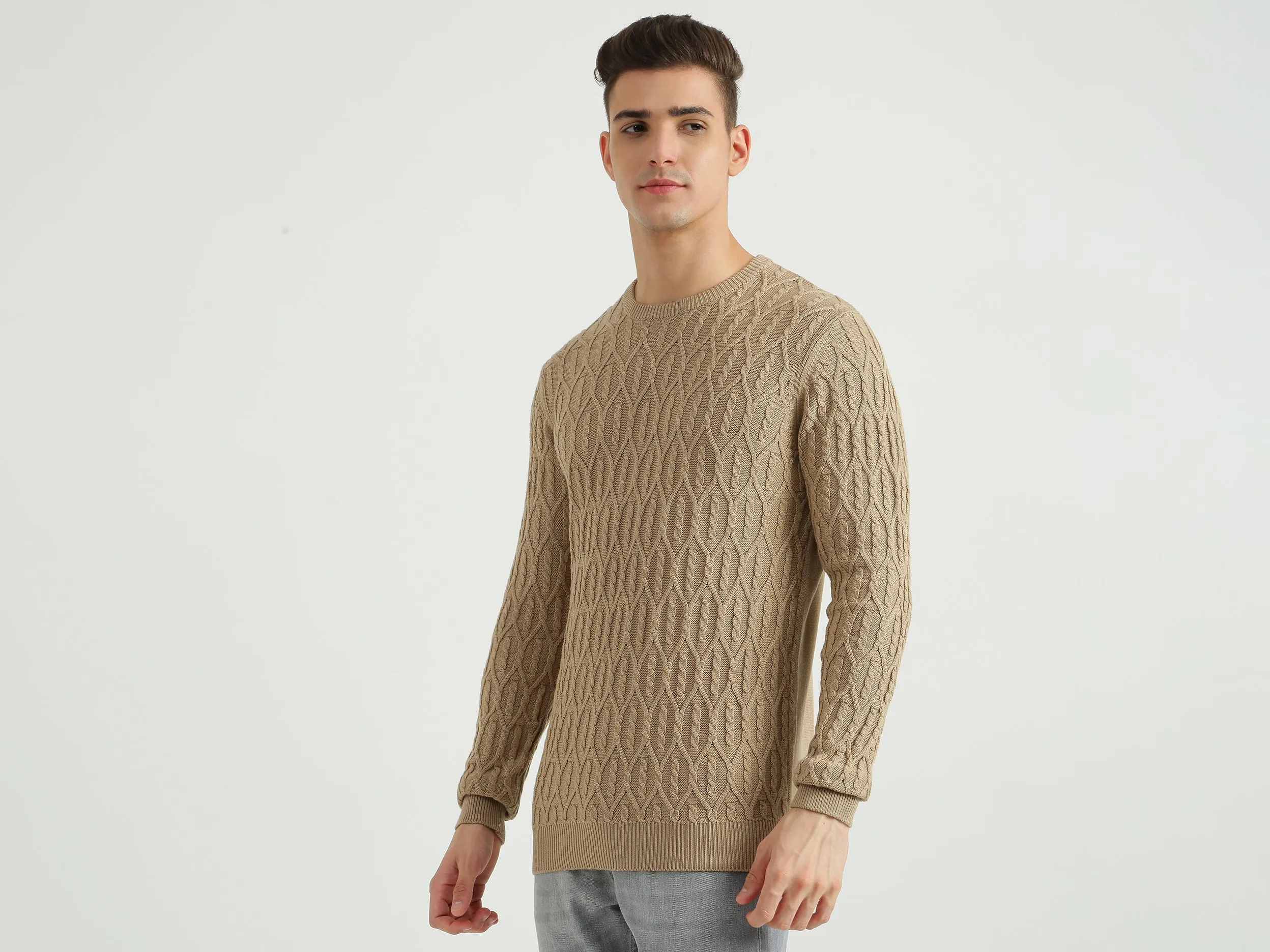 Mens Long Sleeve Textured Sweater