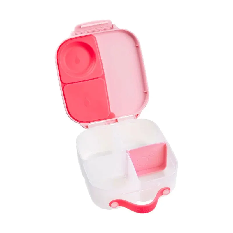 Mini Lunchbox | Flamingo Fizz