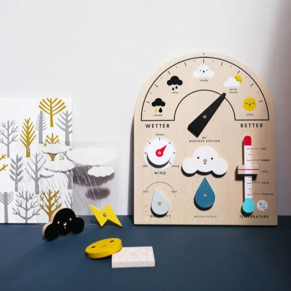 My Weather Station
