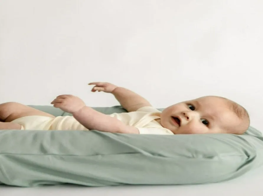 Snuggle Me Organic Infant Lounger Cover-Slate