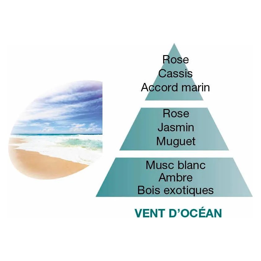 Vent d'Océan - Ricarica Lampe Berger