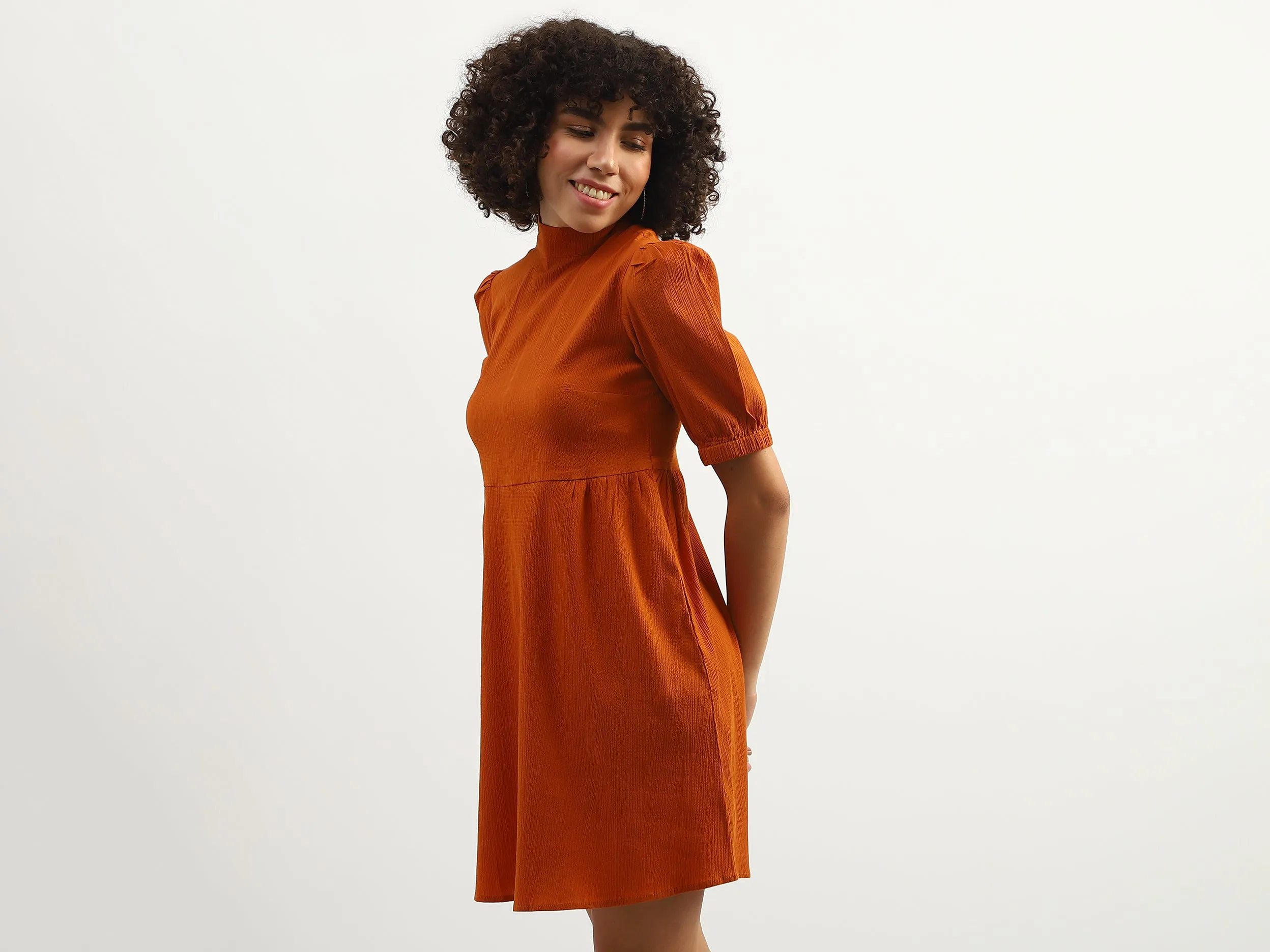 Women Solid High Neck Dress